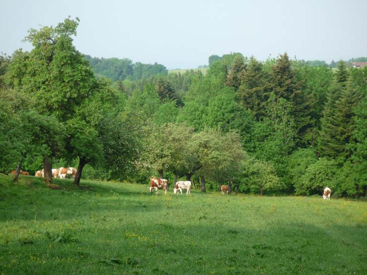 Ringerhof Διαμέρισμα Bad Endorf Εξωτερικό φωτογραφία